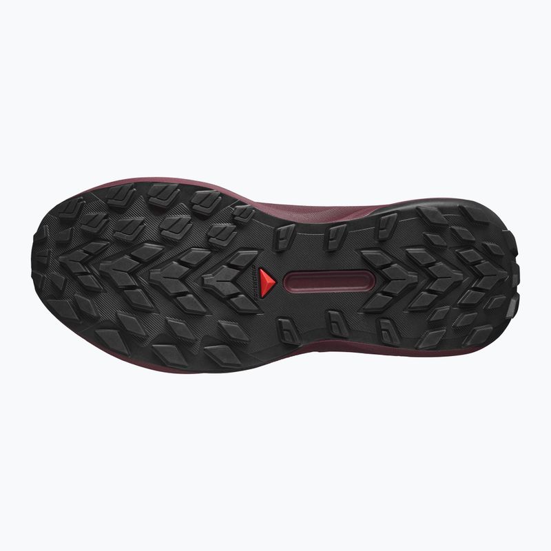 Кросівки для бігу жіночі Salomon Genesis GTX rose taupe/black orchid/bouquet 12