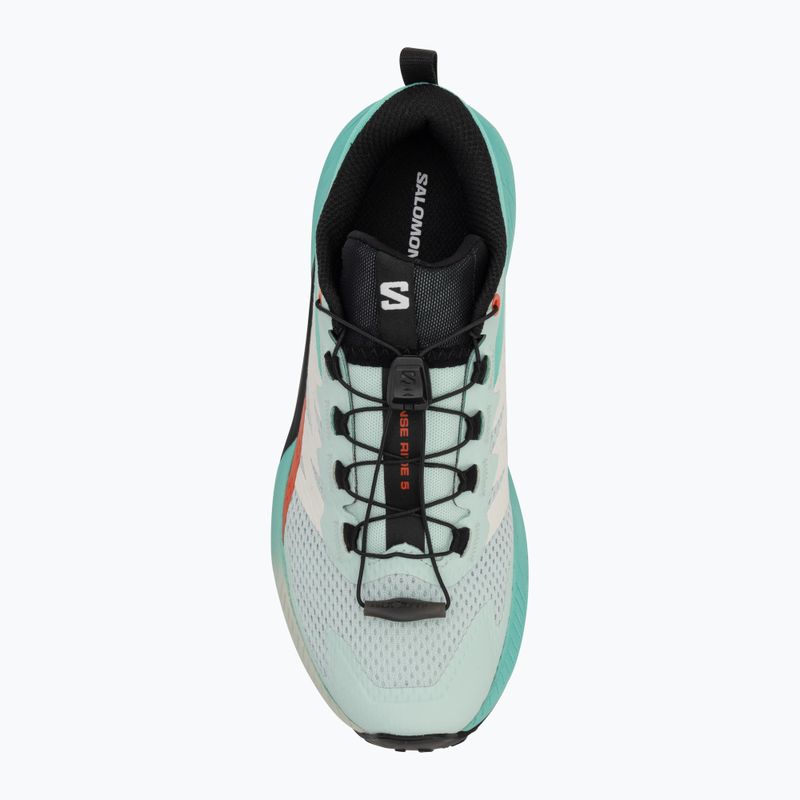Кросівки для бігу жіночі Salomon Sense Ride 5 bay/black/cherry tomato 5