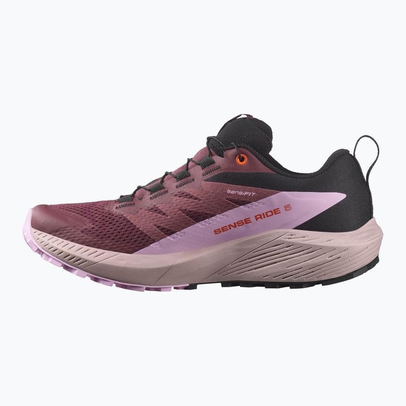 Кросівки для бігу жіночі Salomon Sense Ride 5 GTX catawba grape/orchid bouquet/cherry tomato 9