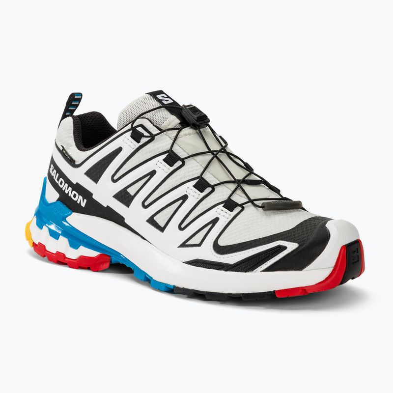 Кросівки для бігу жіночі Salomon XA Pro 3D V9 GTX lunar rock/white/black