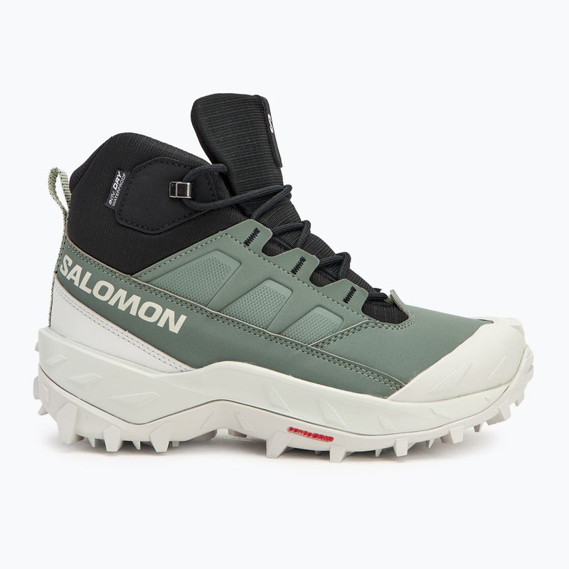 Черевики трекінгові жіночі Salomon Crosstrak WP agave green/black/can ary green 2