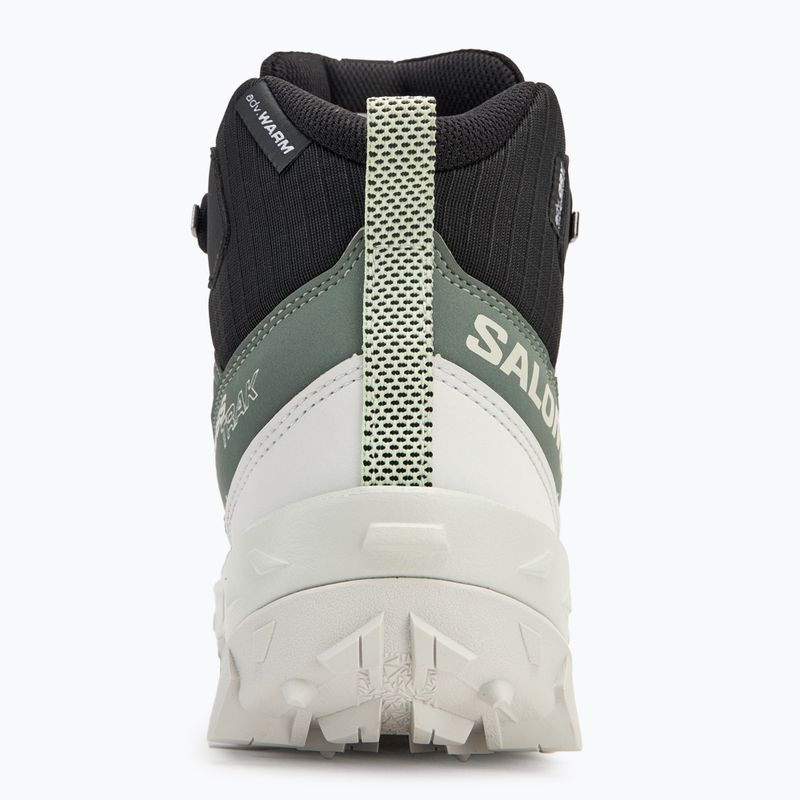 Черевики трекінгові жіночі Salomon Crosstrak WP agave green/black/can ary green 6