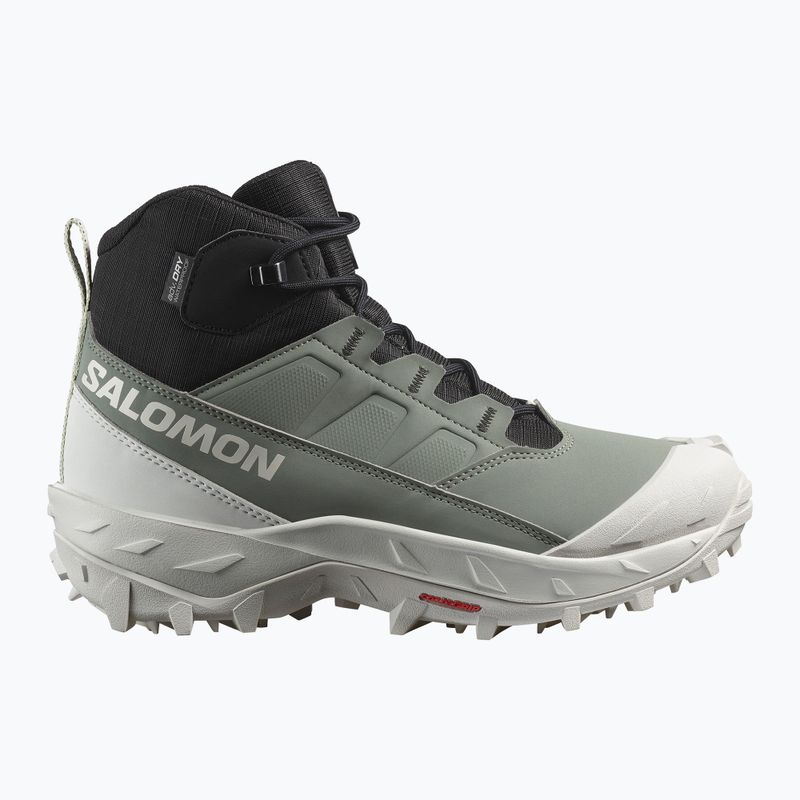 Черевики трекінгові жіночі Salomon Crosstrak WP agave green/black/can ary green 9