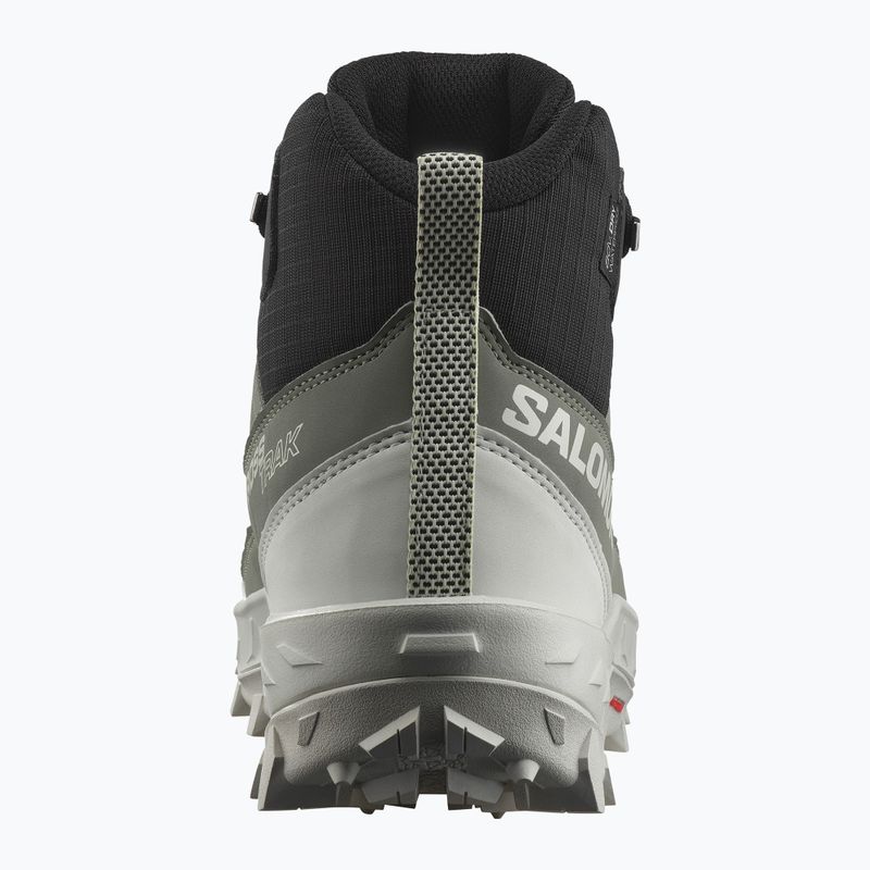Черевики трекінгові жіночі Salomon Crosstrak WP agave green/black/can ary green 11