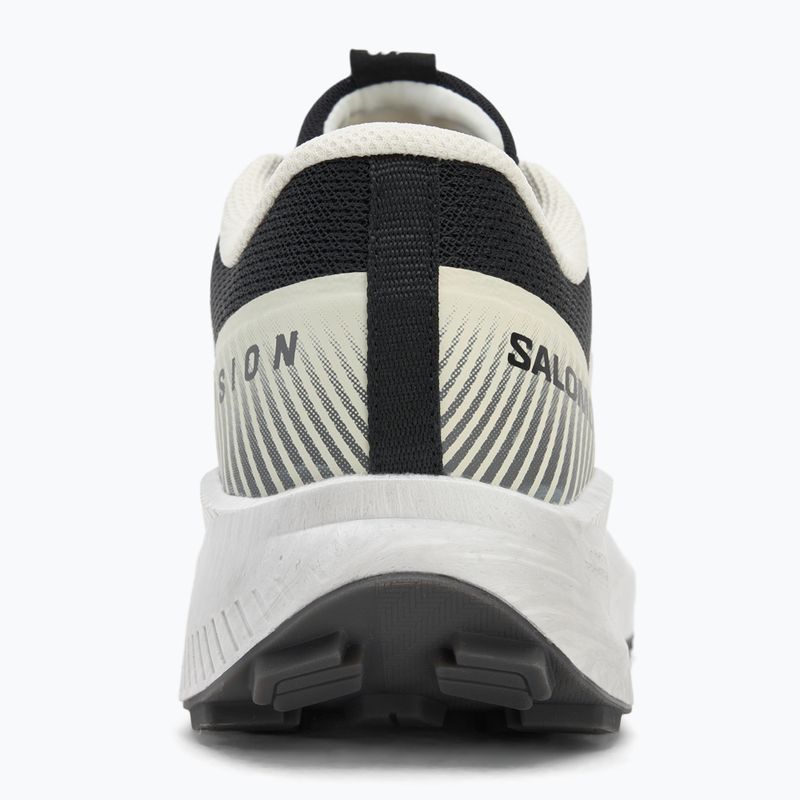 Кросівки для бігу чоловічі Salomon Vision vanilla ice/lunar/rock/black 6