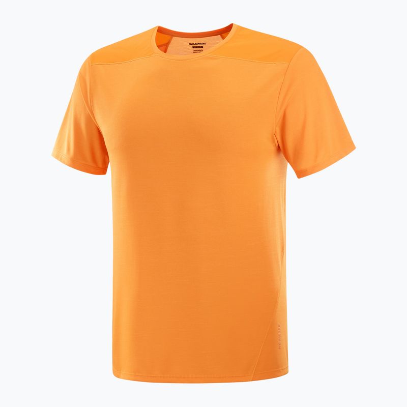 Футболка чоловіча Salomon Outline Tee turmeric 4