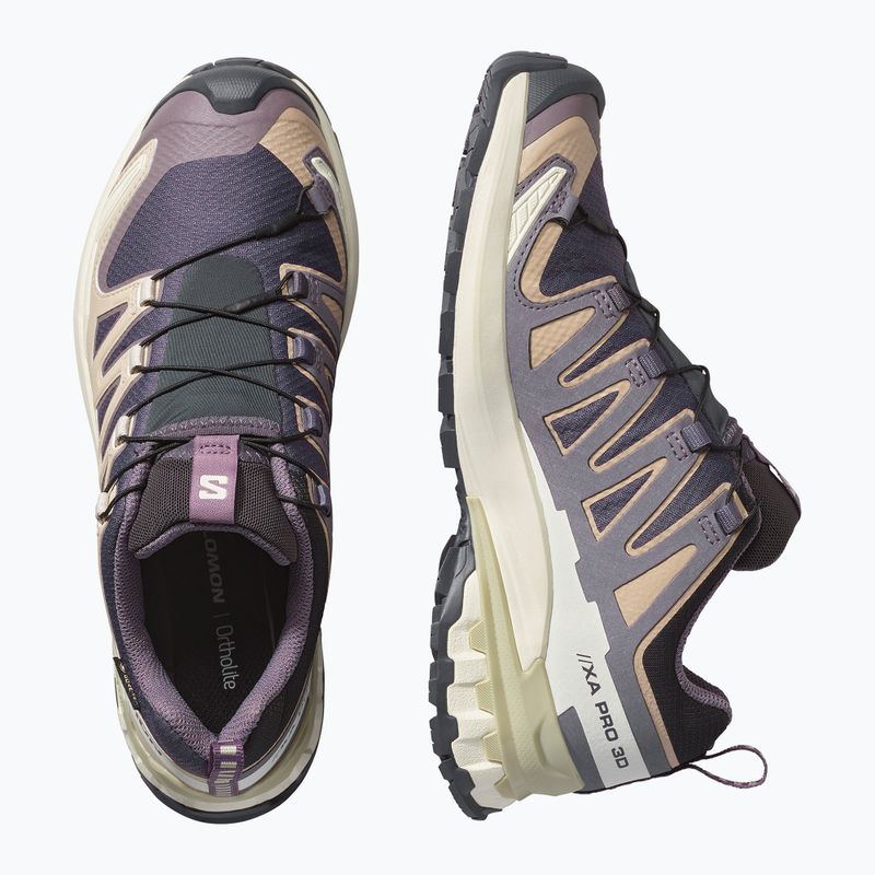 Кросівки для бігу жіночі Salomon XA Pro 3D V9 GTX nine iron/oxford tan 3