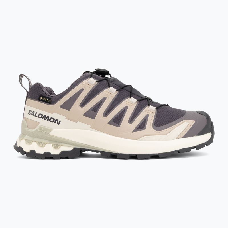 Кросівки для бігу жіночі Salomon XA Pro 3D V9 GTX nine iron/oxford tan 2