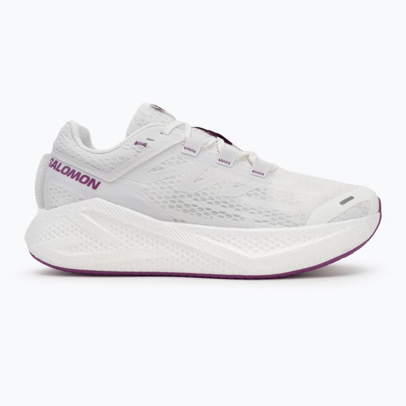 Кросівки для бігу чоловічі Salomon Aero Glide 3 white/white/willowherb 2