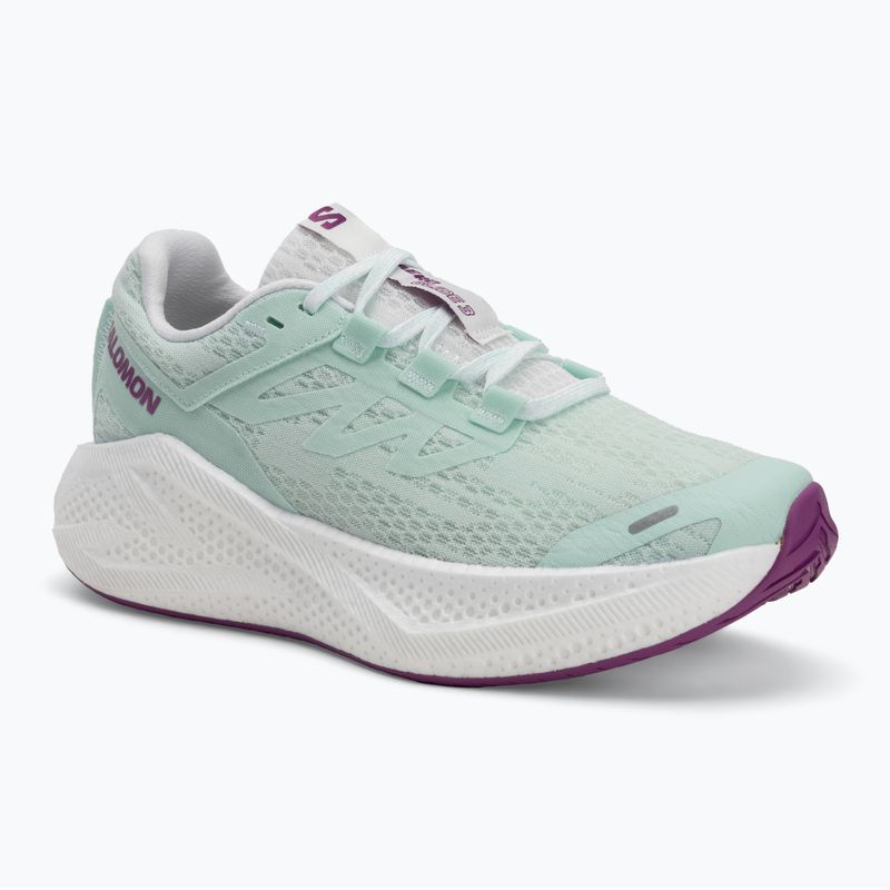 Кросівки для бігу жіночі Salomon Aero Glide 3 bay/white/wilowherb