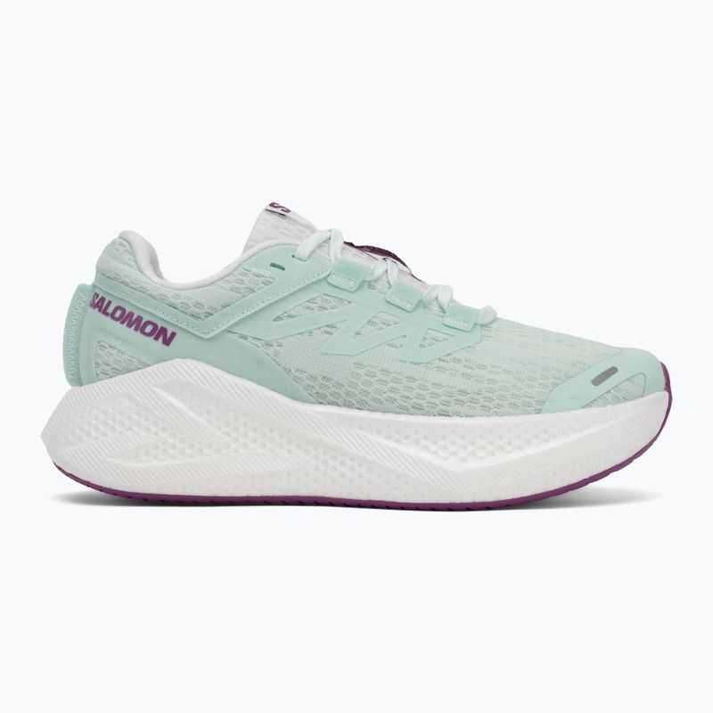 Кросівки для бігу жіночі Salomon Aero Glide 3 bay/white/wilowherb 2