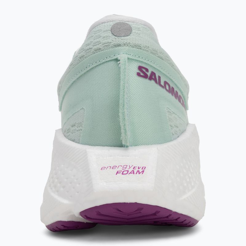 Кросівки для бігу жіночі Salomon Aero Glide 3 bay/white/wilowherb 6