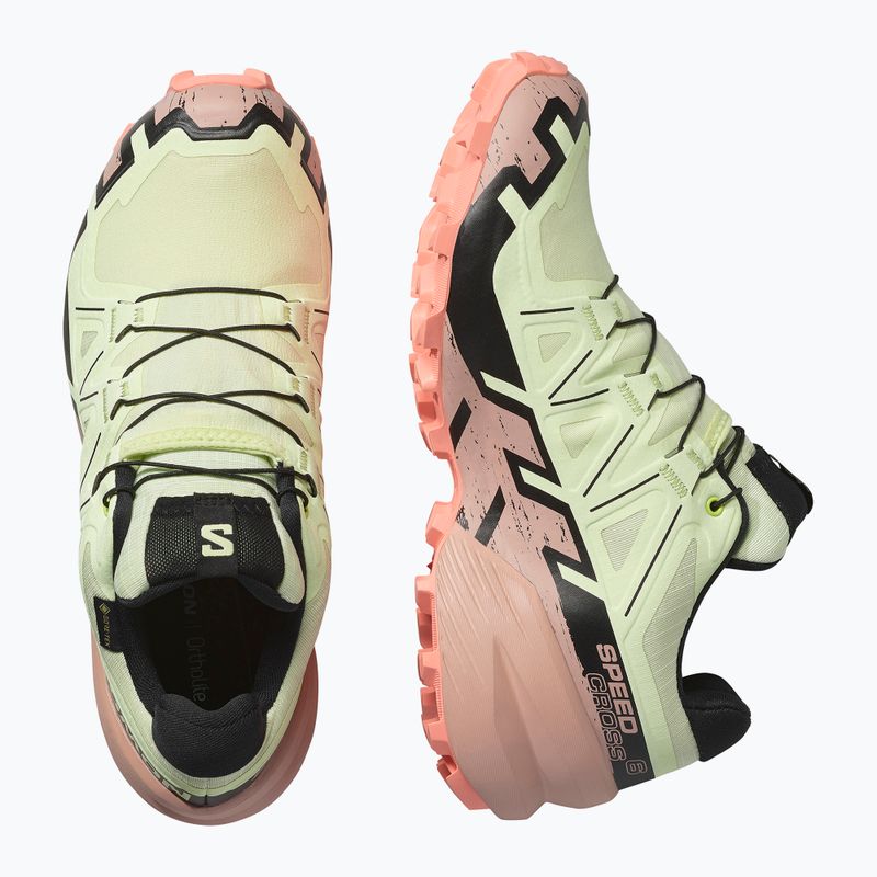 Жіночі бігові кросівки Salomon Speedcross 6 GTX lime cream/mahogany rose/black 6