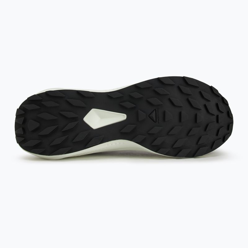 Кросівки для бігу чоловічі Salomon Alphaglide black/phantom/icicle 4