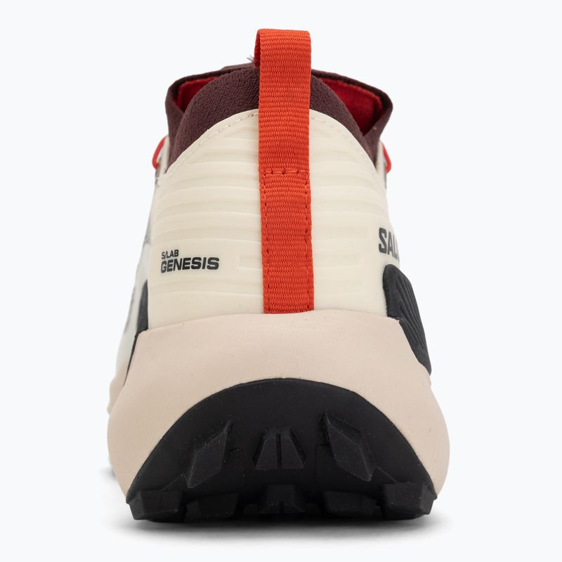 Кросівки для бігу Salomon S/LAB Genesis vanila ice/chocolate/black 6