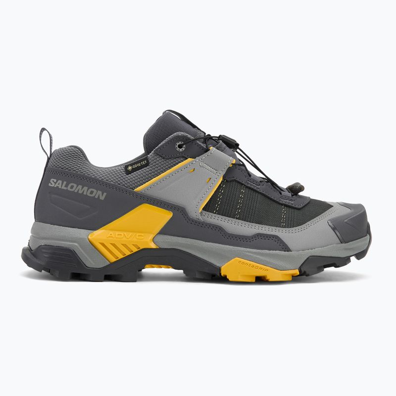 Черевики трекінгові чоловічі Salomon X ULTRA 5 GTX turbulence/monument/spicy mustard 2