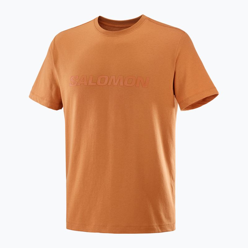 Футболка чоловіча Salomon Big Logo Tee sierra 4