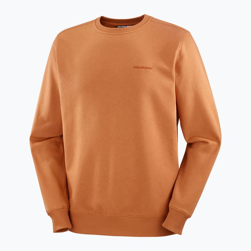 Кофта чоловіча Salomon Logo Crewneck sierra 5