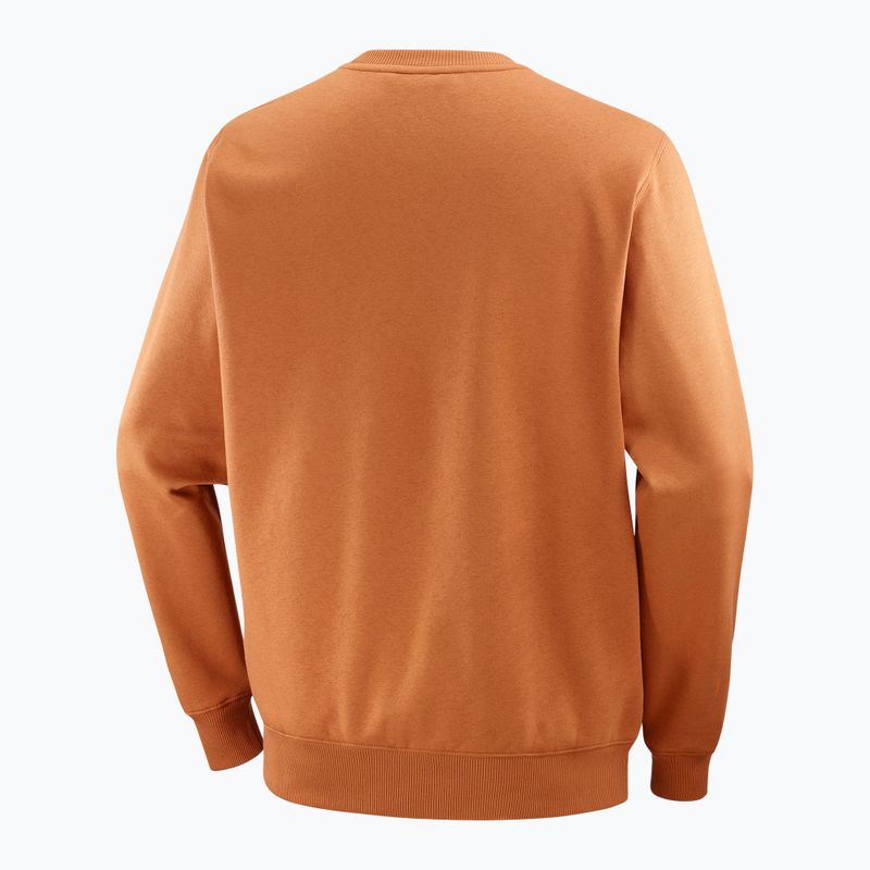 Кофта чоловіча Salomon Logo Crewneck sierra 6