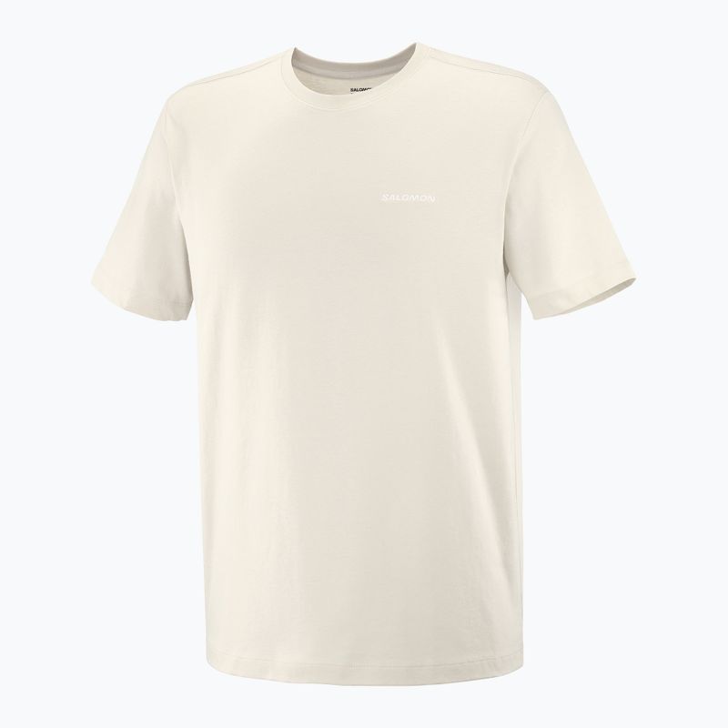 Футболка чоловіча Salomon Logo Tee rainy day 4