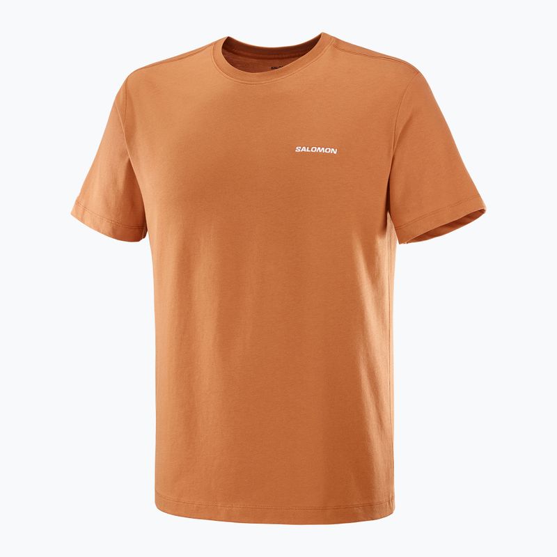Футболка чоловіча Salomon Logo Tee sierra 4