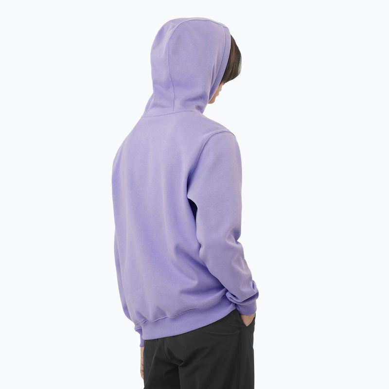 Кофта чоловіча Salomon Logo Hoodie violet tulip 2