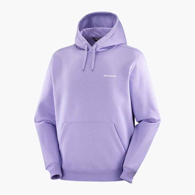 Кофта чоловіча Salomon Logo Hoodie violet tulip 3