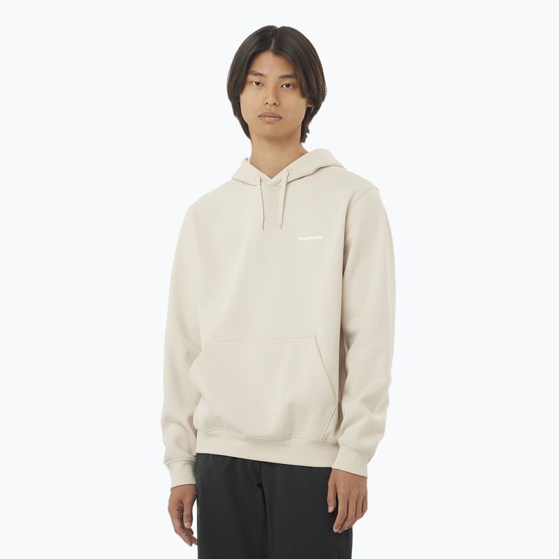 Кофта чоловіча Salomon Logo Hoodie rainy day