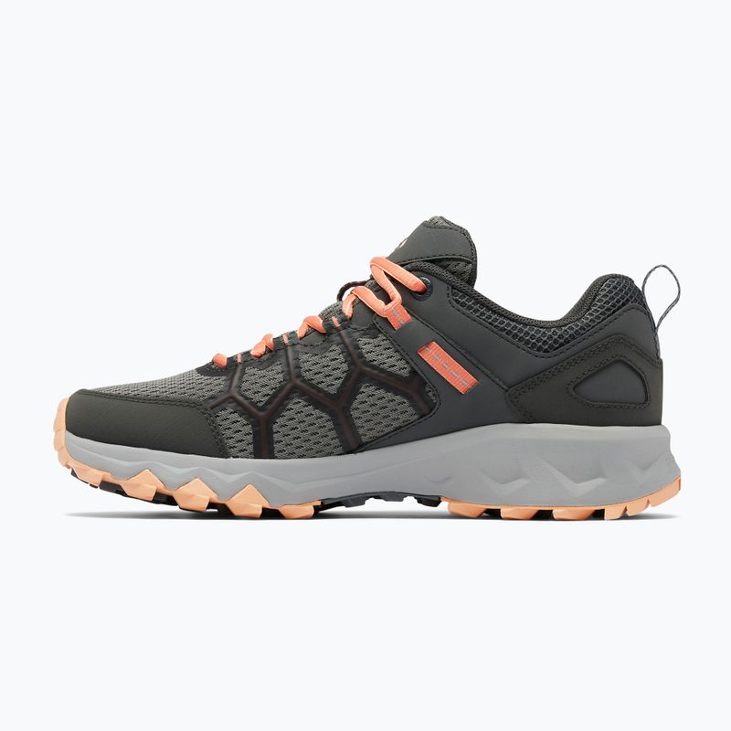 Взуття трекінгове жіноче Columbia Peakfreak II ti grey steel/lychee 13
