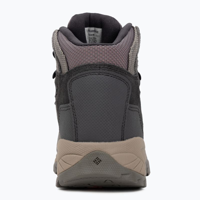Жіночі трекінгові черевики Columbia Newton Ridge Plus Wp Amped stratus/canyon rose 6