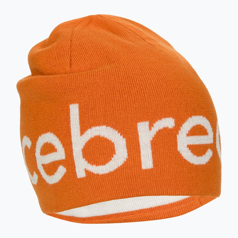 Шапка зимова icebreaker Merino Icebreaker Beanie earth/ecru hthr