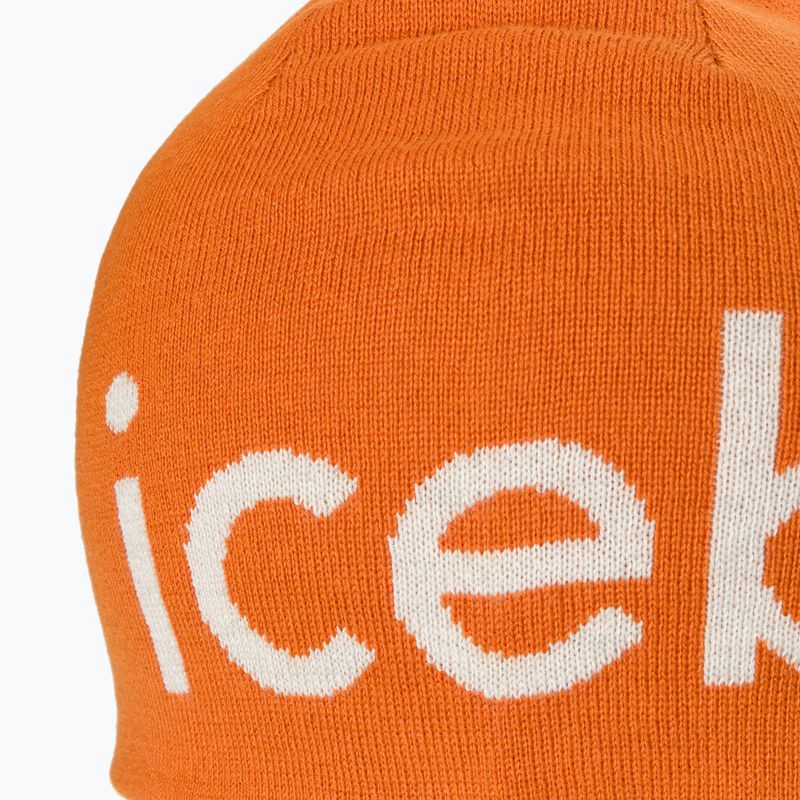 Шапка зимова icebreaker Merino Icebreaker Beanie earth/ecru hthr 4