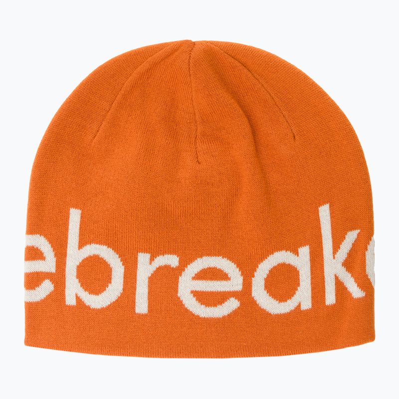 Шапка зимова icebreaker Merino Icebreaker Beanie earth/ecru hthr 5