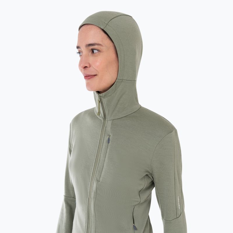 Льодохідна жіноча трекінгова куртка Merino 260 Quantum IV Zip Hoodie лишайник 4