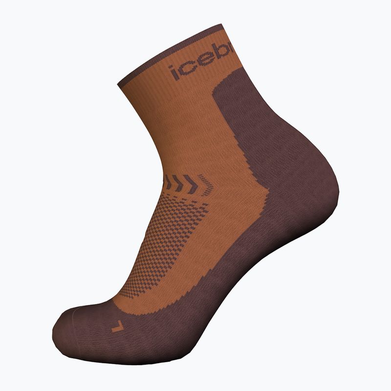 Шкарпетки трекінгові жіночі icebreaker Merino Hike+ Light Mini dusty clay/carob 3