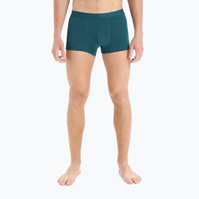 Термобоксери чоловічі icebreaker Anatomica Cool-Lite greenglory 4