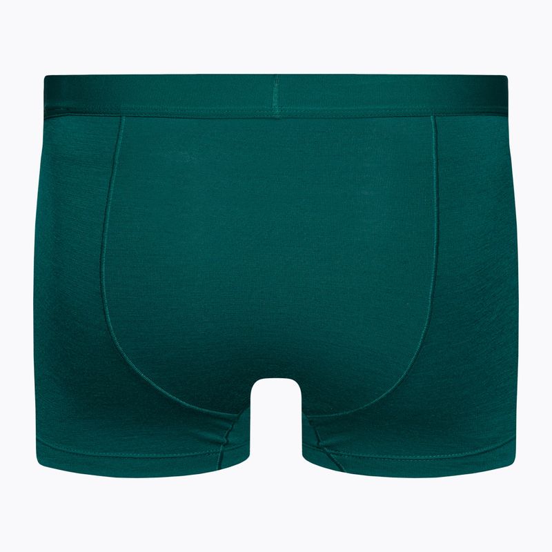 Термобоксери чоловічі icebreaker Anatomica Cool-Lite greenglory 2