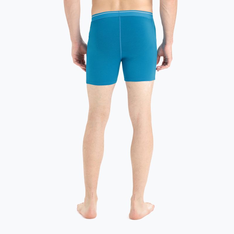 Термобоксери чоловічі icebreaker Anatomica geo blue 5