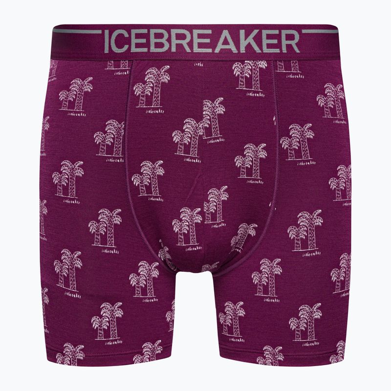 Термобоксери чоловічі icebreaker Anatomica go berry