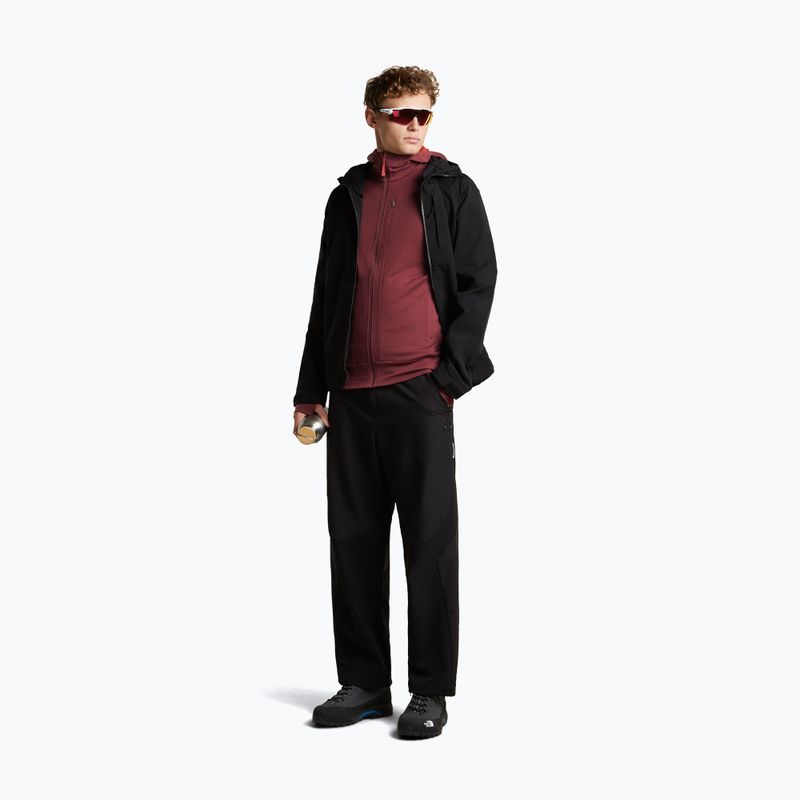 Кофта чоловіча Icebreaker Merino 260 Quantum IV LS Zip Hoodie port/agate 2
