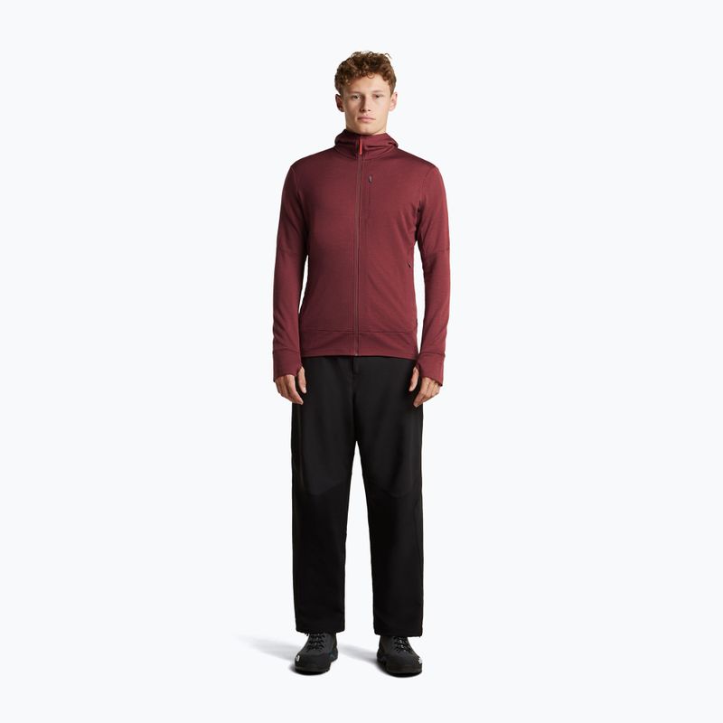 Кофта чоловіча Icebreaker Merino 260 Quantum IV LS Zip Hoodie port/agate 4