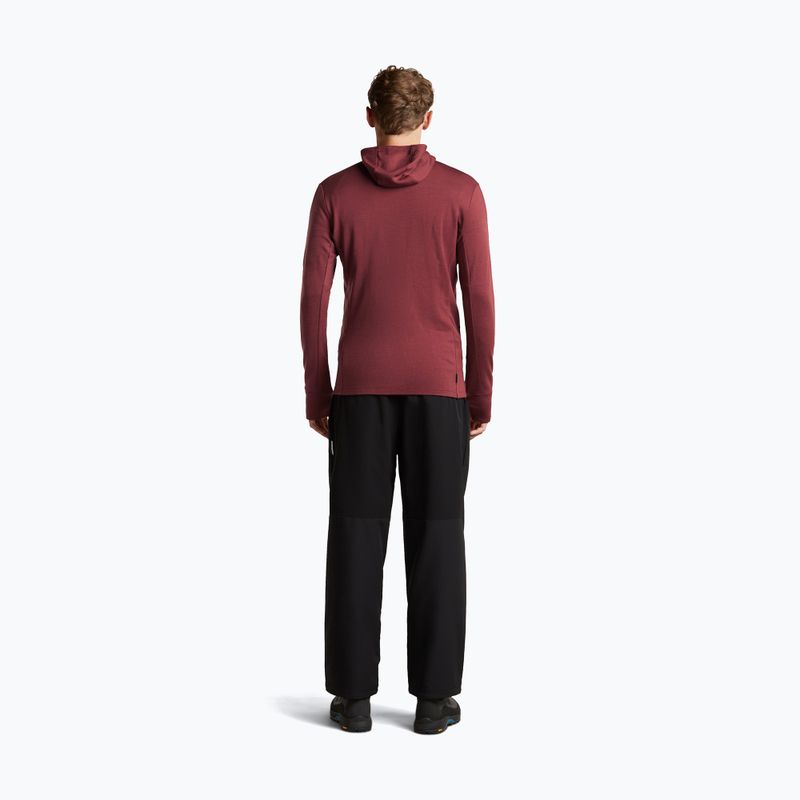 Кофта чоловіча Icebreaker Merino 260 Quantum IV LS Zip Hoodie port/agate 5