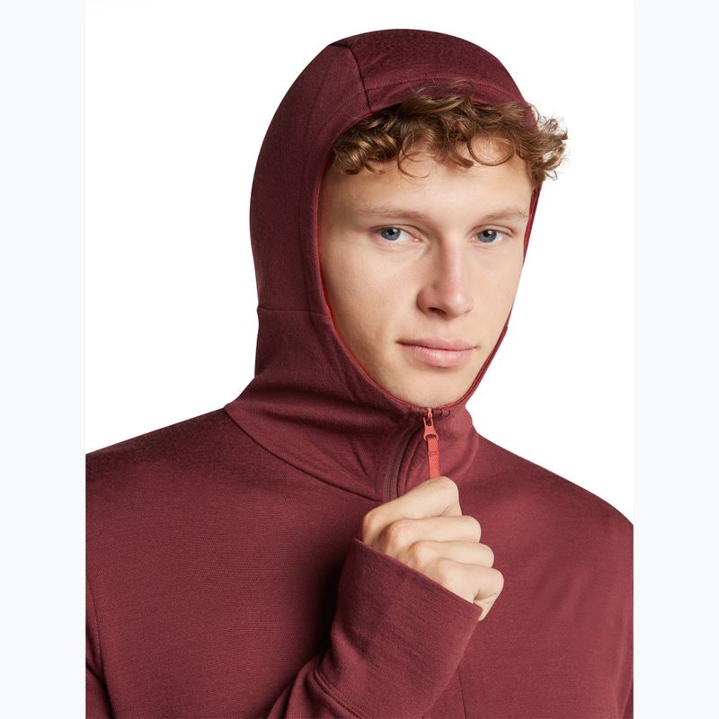 Кофта чоловіча Icebreaker Merino 260 Quantum IV LS Zip Hoodie port/agate 6