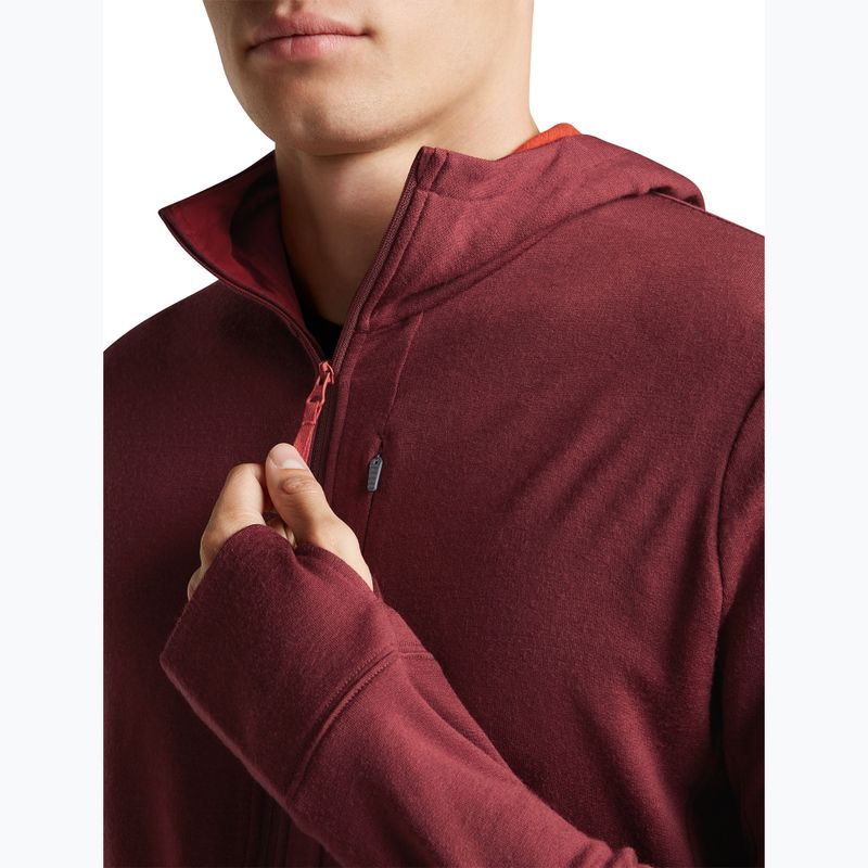 Кофта чоловіча Icebreaker Merino 260 Quantum IV LS Zip Hoodie port/agate 7