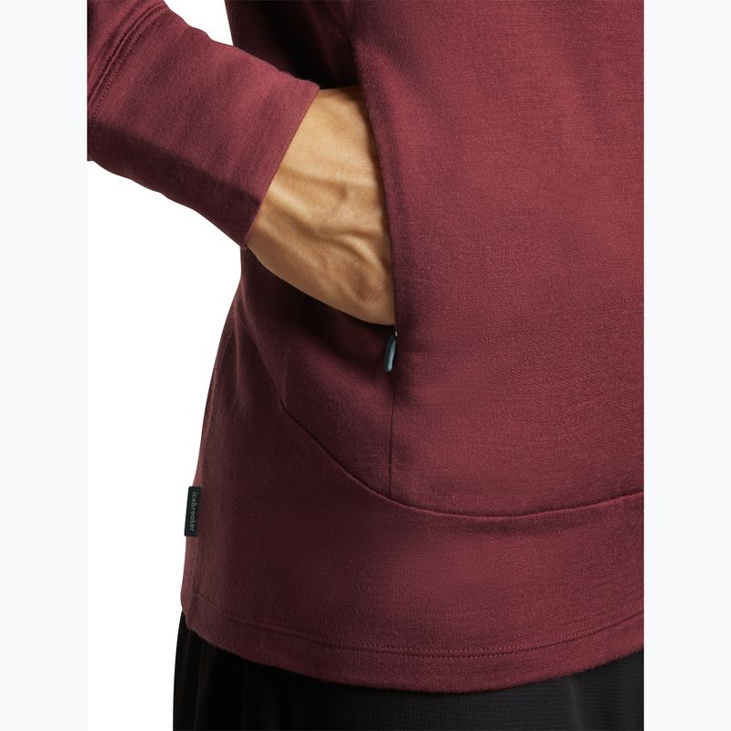 Кофта чоловіча Icebreaker Merino 260 Quantum IV LS Zip Hoodie port/agate 9