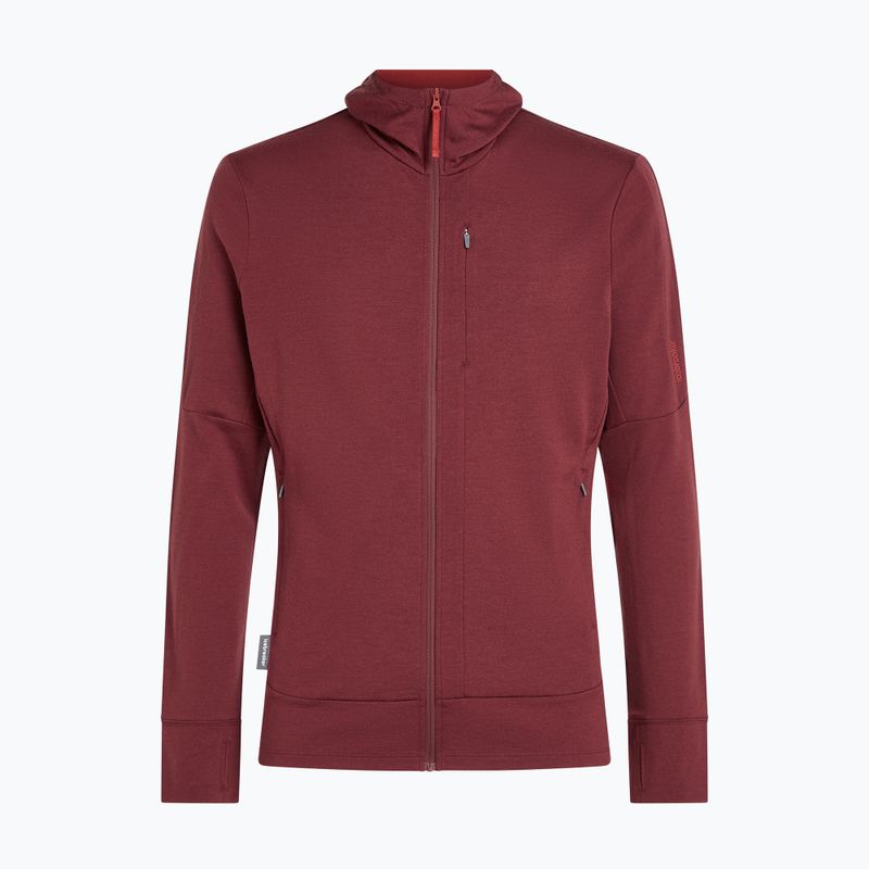 Кофта чоловіча Icebreaker Merino 260 Quantum IV LS Zip Hoodie port/agate 10