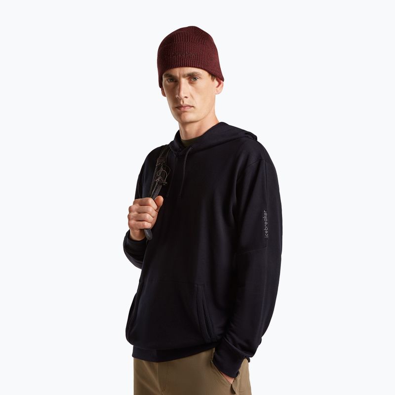 Шапка зимова icebreaker Merino All Day Toque Beanie port/bittersweet 2