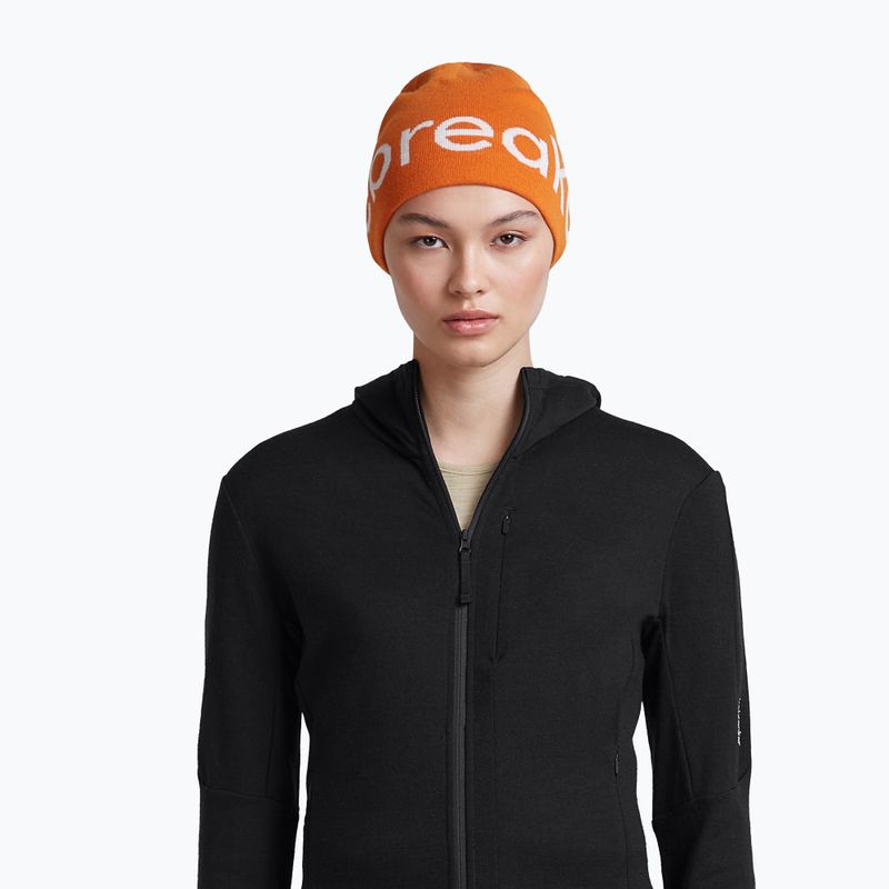 Шапка зимова icebreaker Merino Icebreaker Beanie spice/ecru heather 6
