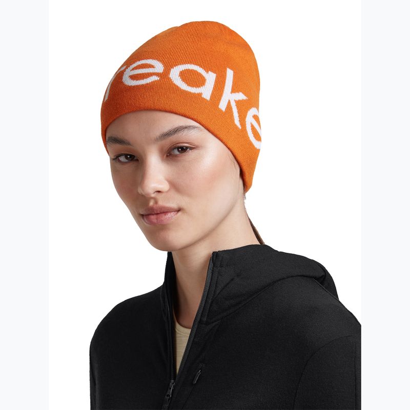 Шапка зимова icebreaker Merino Icebreaker Beanie spice/ecru heather 7