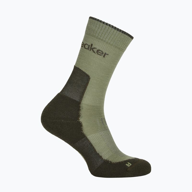 Шкарпетки жіночі Icebreaker Merino Hike+ Light Crew lichen/dark loden 2